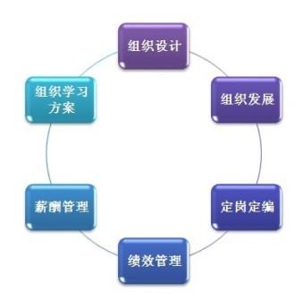 2013年人力资源管理趋势
